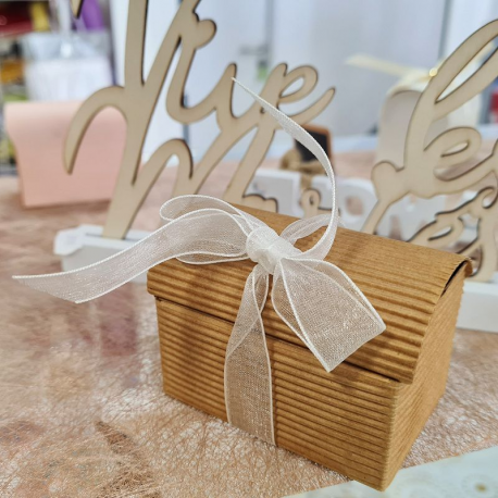 Coffre GM carton ondulé NATUREL - pièce