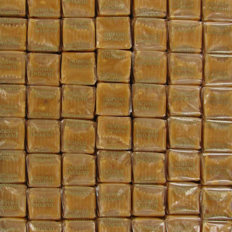 Caramels pâtissiers noisettes Dupont d'Isigny - les 420