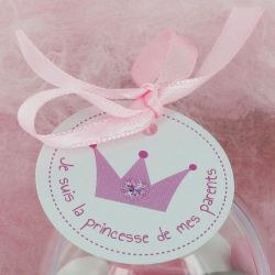 Décors cartonnés perforrés 4cm PRINCESSE - 25 vignettes
