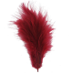 Plumes colorées BORDEAUX - 12 pièces