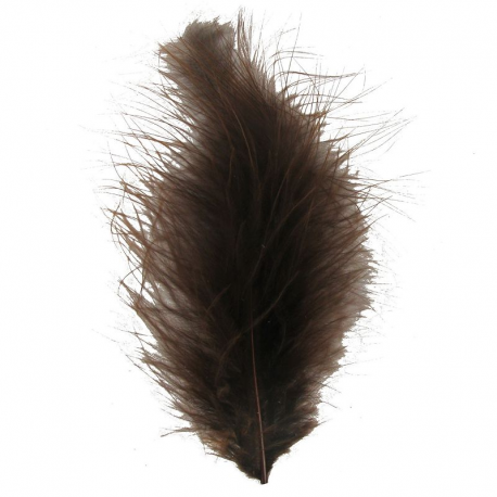 Plumes colorées CHOCOLAT - 12 pièces