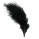 Plumes colorées NOIR - 12 pièces
