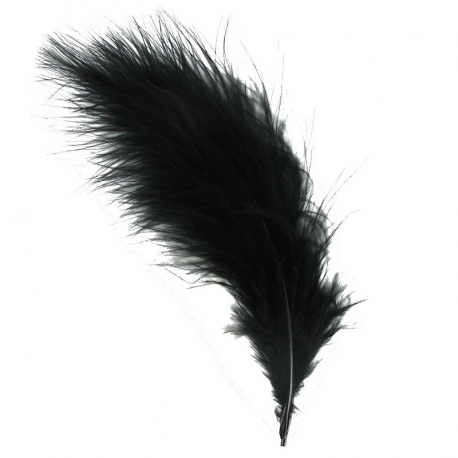 Plumes colorées NOIR - 12 pièces