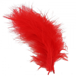 Plumes colorées ROUGE - 12 pièces