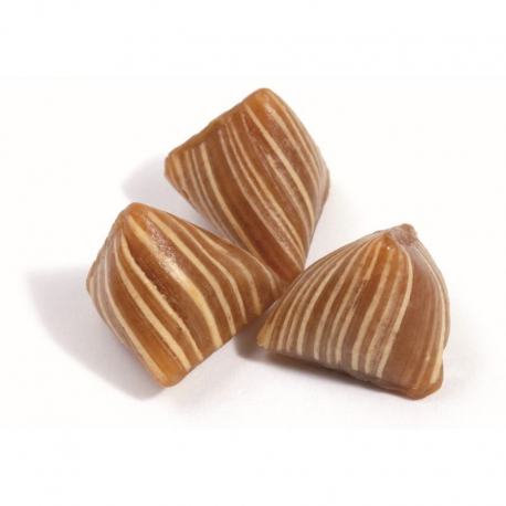 Berlingot caramel au beurre salé - 2kg