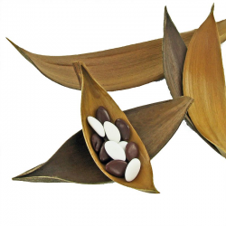 Barques de coco véritable - 10 pièces