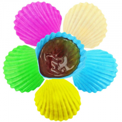 Coquillages Roudoudou au sucre parfumé - carton de 1000