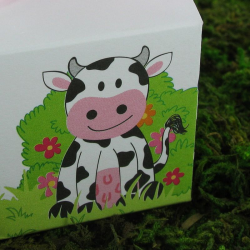 Boîtes vachette Azalée - 10 pièces