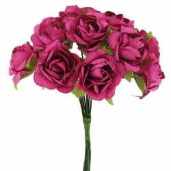 Roses sur tige FUCHSIA - le bouquet de 12