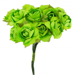Roses sur tige VERT - le bouquet de 12