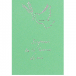 Cartes Image Colombe VERT - 10 pièces