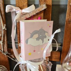 Boîte livre Dumbo ROSE Disney - pièce