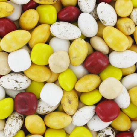 Dessertissimo - Dragées desserts PANACHE - 1kg