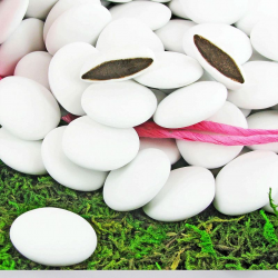 Dragées au Chocolat en forme de Palets BLANC - 1kg