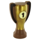 Coupe des champions en chocolat - 150g