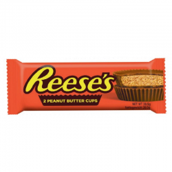 Reese's 2 Peanut Butter cup Hersheys - boite de 24 sachets