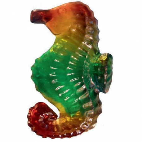 Ocean jelly Bestioles gélifiées - boîte de 66