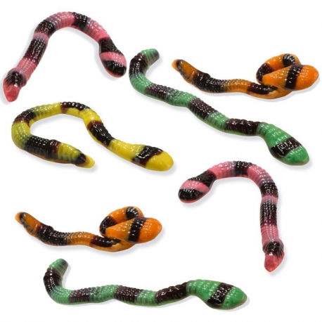 Serpents anacondas géants - 2kg