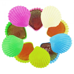 Coquillages lollycoque Roudoudou - 1,5kg
