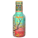 Arizona Thé vert Pêche Pet 50cl - 6 bouteilles