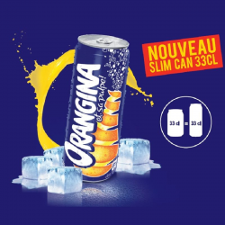Orangina 33cl - 24 canettes