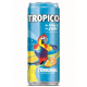 Tropico original (orange ananas) 33cl - 24 canettes