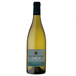 BOURGOGNE ALIGOTE Valentin VIGNOT - 75cl CARTON DE 6