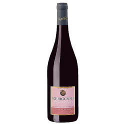 BOURGOGNE Pinot Noir Valentin VIGNOT - 75cl CARTON DE 6