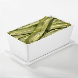 Terrine rectangulaire Culinove grands classiques 1kg Revol BLANC