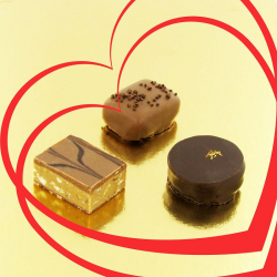 Bonbons de chocolat VALRHONA - ballotin de 250g