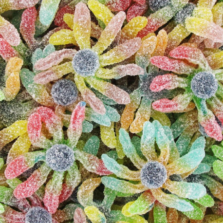 Poulpes Joubini Trolli - sachet de 1kg