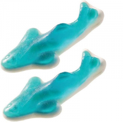 Requins bleus - 1kg
