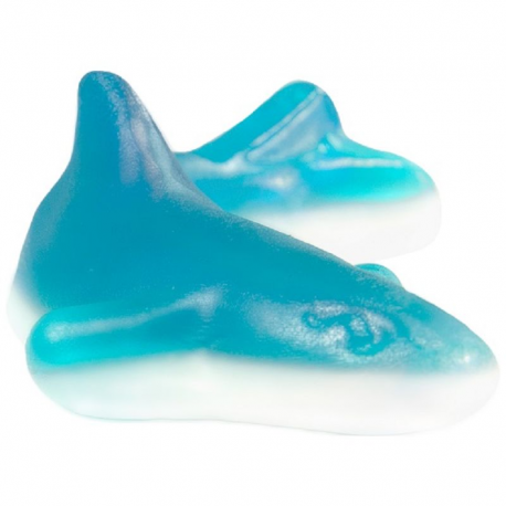 Requins bleus - 1kg