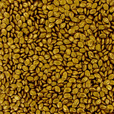 Grains de café en chocolat noir dorés - boîte de 1kg