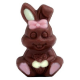 Lapinous décorés en chocolat assorti s/cello 10g - tubo de 42