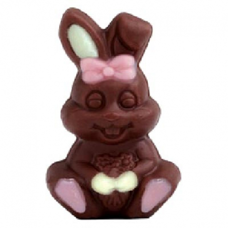 Lapinous décorés en chocolat assorti s/cello 10g - tubo de 42
