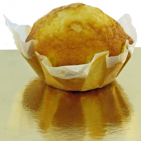 Santa Cruz caissette 18 Madeleines s/cello 720g