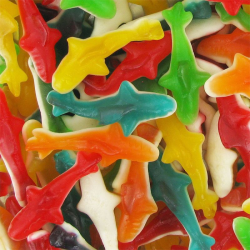 Requins gélifiés lisses colorés - 1kg