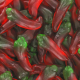 Piments gélifiés lisses - 1kg