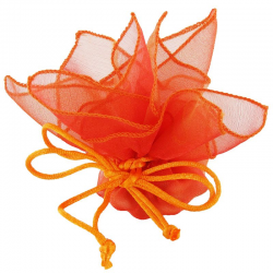 Sacs Tulipe ORANGE - 10 pièces