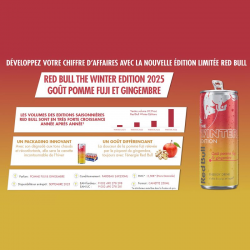 Red Bull Winter Edition Pomme Fuji Gingembre 25cl - par 24 boîtes