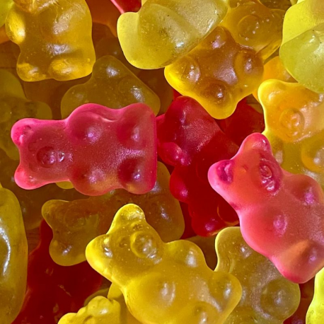 Oursons lisses SANS SUCRES 50g - carton de 12 sachets