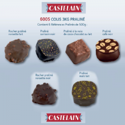 PRECOMMANDE Colis 3kg chocolat artisanal (6x500g) pralinés Castelain