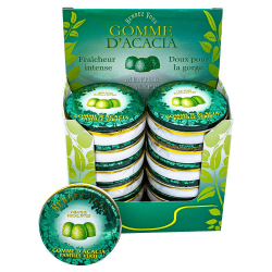 Gommes vertes menthe eucalyptus 32g - les 12 boîtes