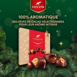 Chocolat Côte d'Or Collection pralines - coffret de 135g