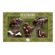 Coffret Dinosaures - sujets en chocolat au lait - 100g