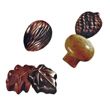Assortiment Automne chocolats fourrés praliné - 195g