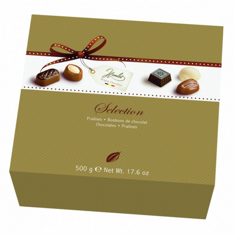 Sélection de chocolats Belges assortis - coffret de 500g