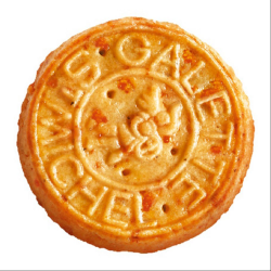 Mini galettes comté St Michel 100g - carton de 11 sachets