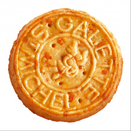 Mini galettes comté St Michel 100g - carton de 11 sachets
